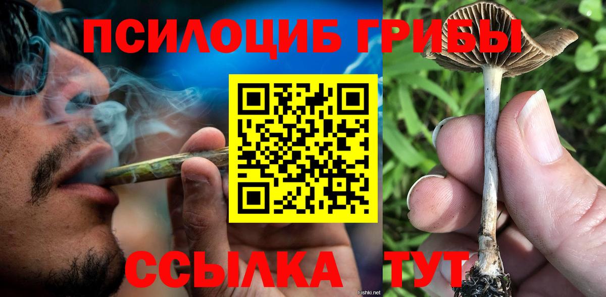 Галлюциногенные грибы Psilocybe  Вход с VPN  цена наркотик  Карталы 