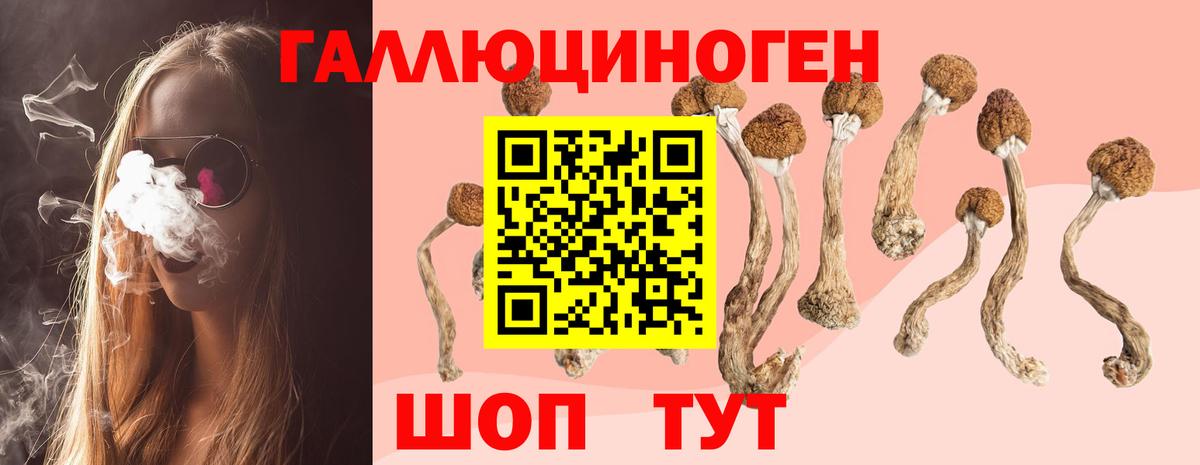 Галлюциногенные грибы прущие грибы Карталы